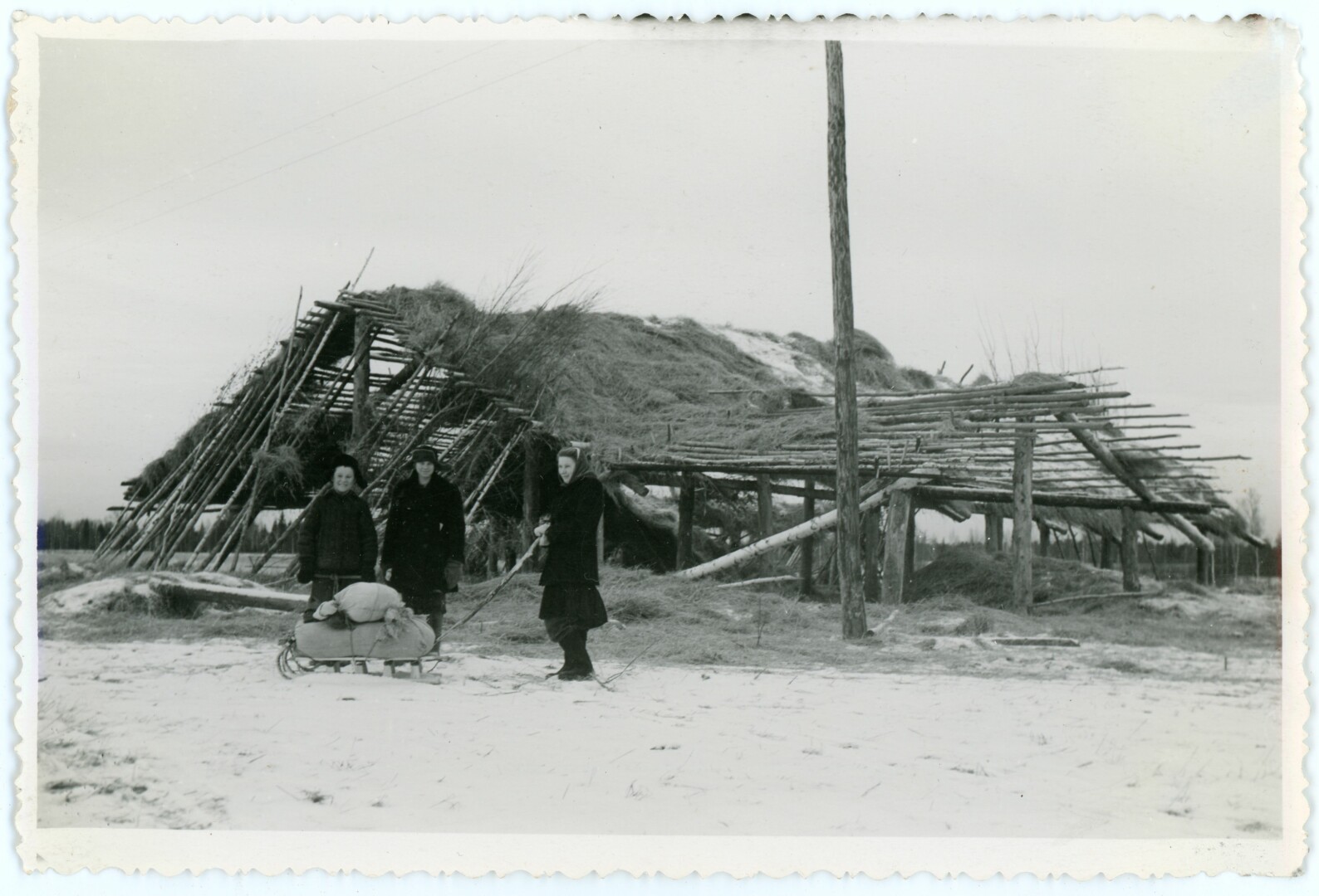 Vienos tremties istorija