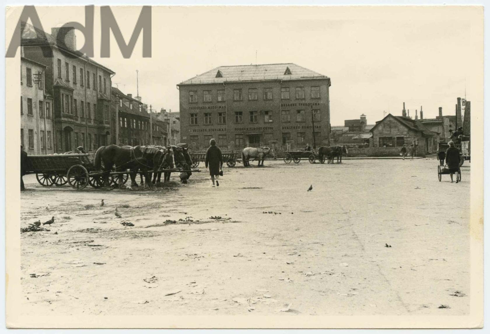 Turguje – visiška netvarka