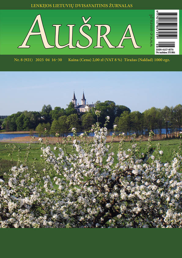 Lietuvos žiniasklaida