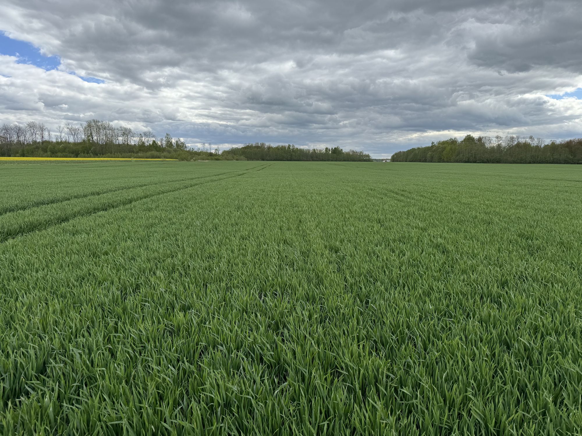 Tvarus ūkininkavimas – misija įmanoma?