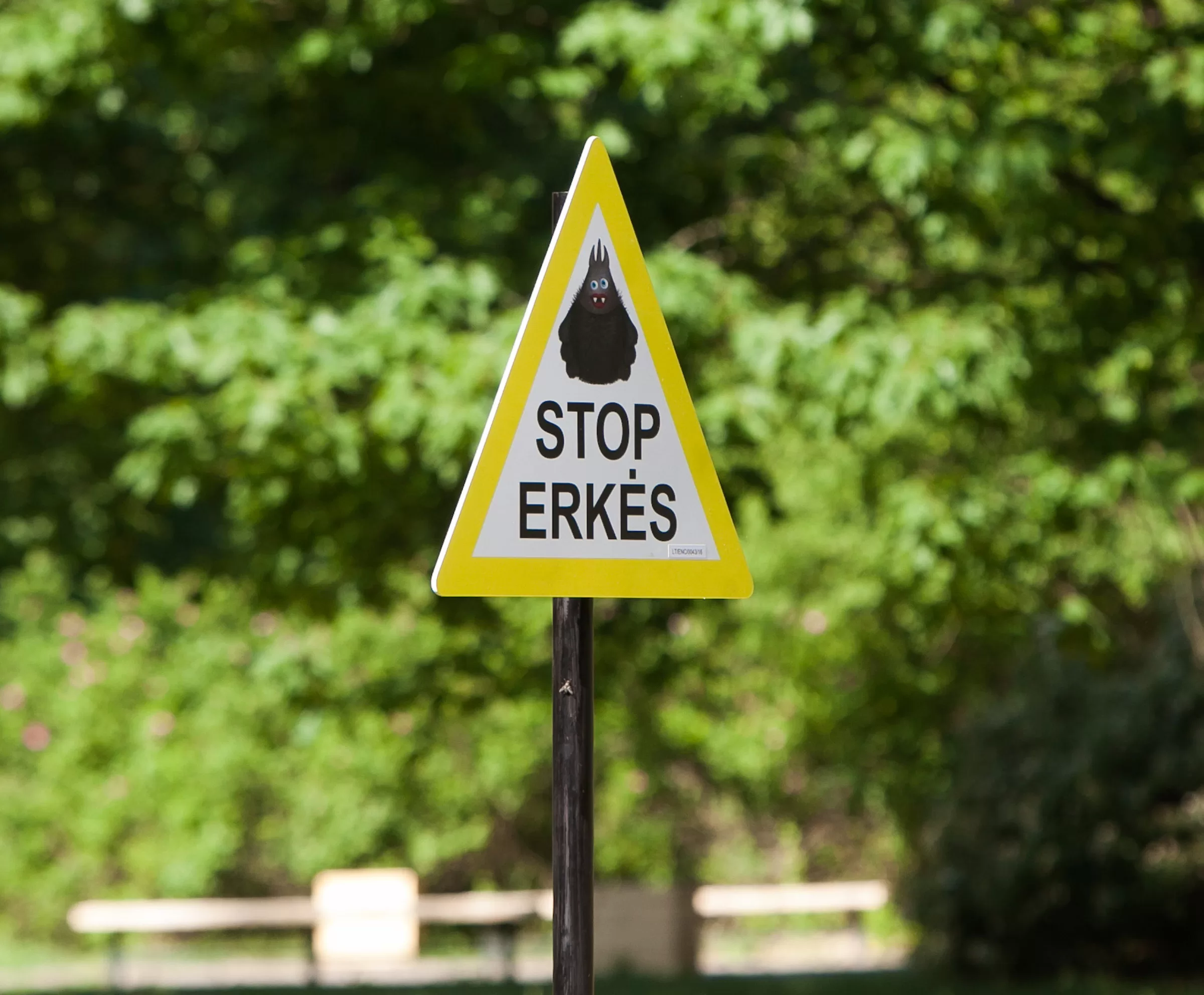 „Ligoninėje atsidūriau beveik be sąmonės, kaip plaukiojantis žmogus“: ką reiškia susidurti su erkiniu encefalitu?