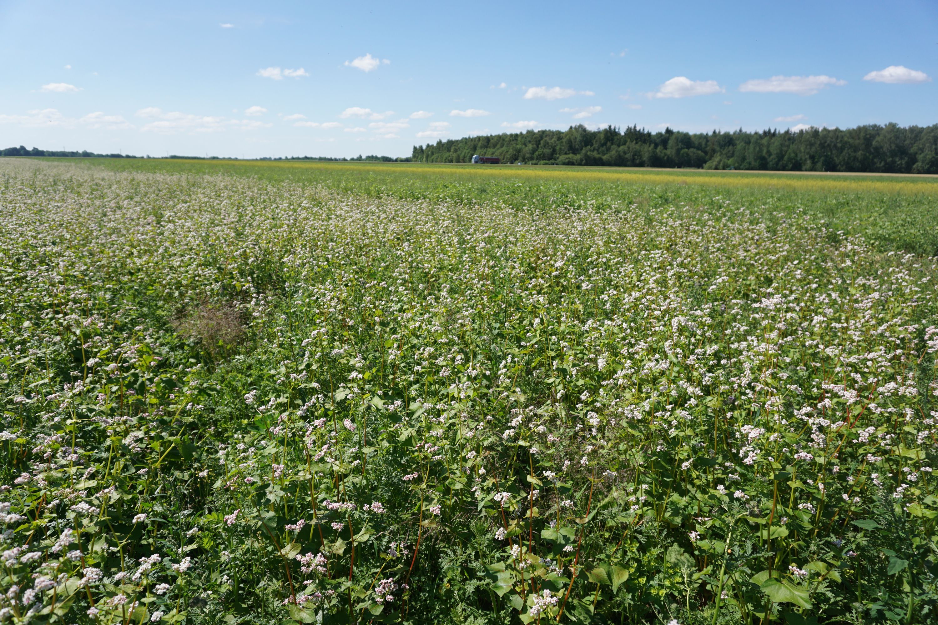 Ekologinių ūkių mažėja – tarša didėja?