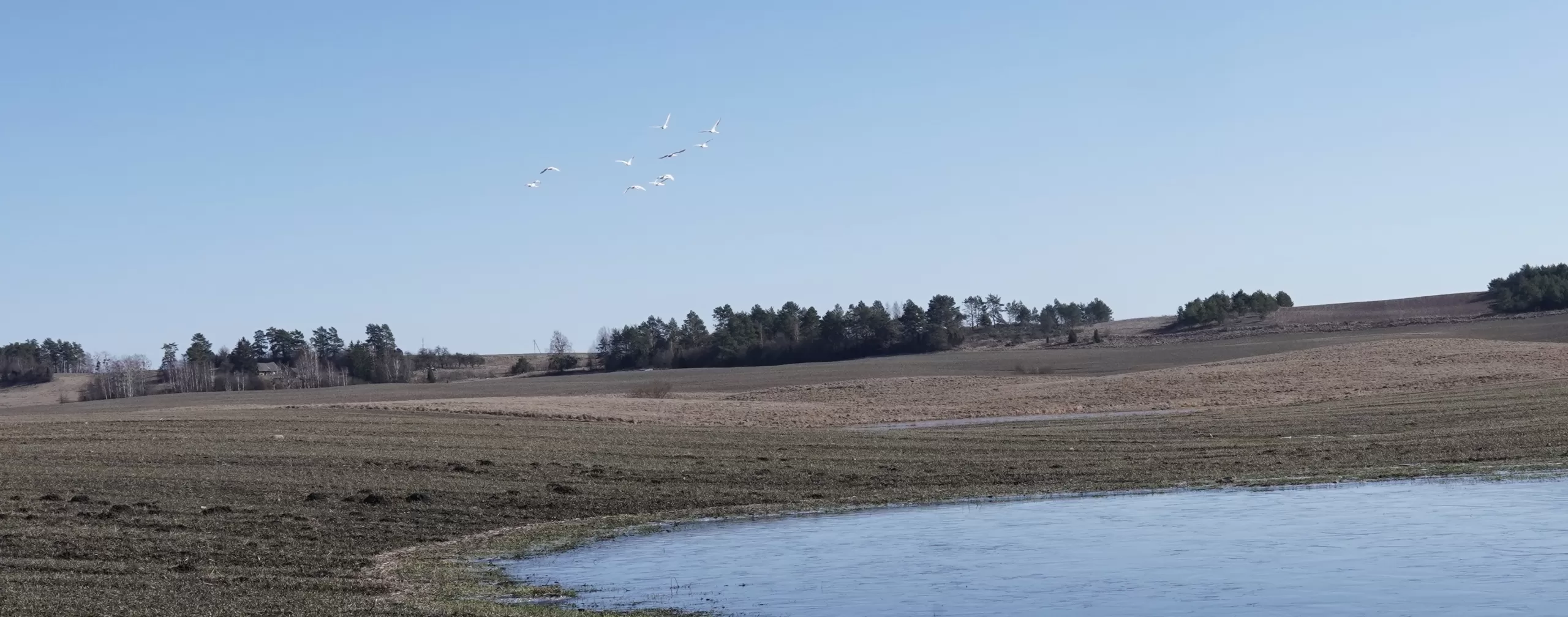 Laiškai iš kaimo. Apie darbą: kas yra valkavojimas, valkiojimas, o kas – valkatavimas?