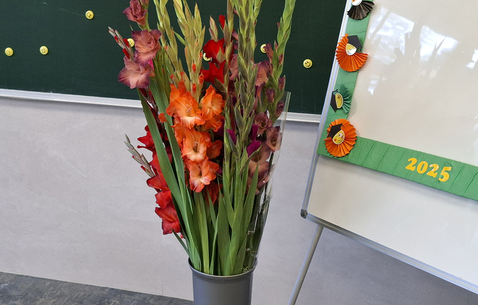 Regiono silpnoji vieta – gyventojų išsilavinimas